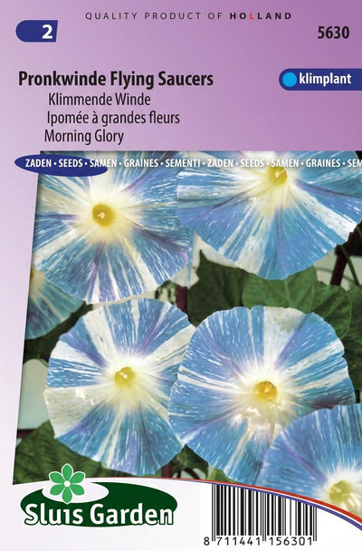 Klimmende Winde Flying Saucer (Ipomoea)