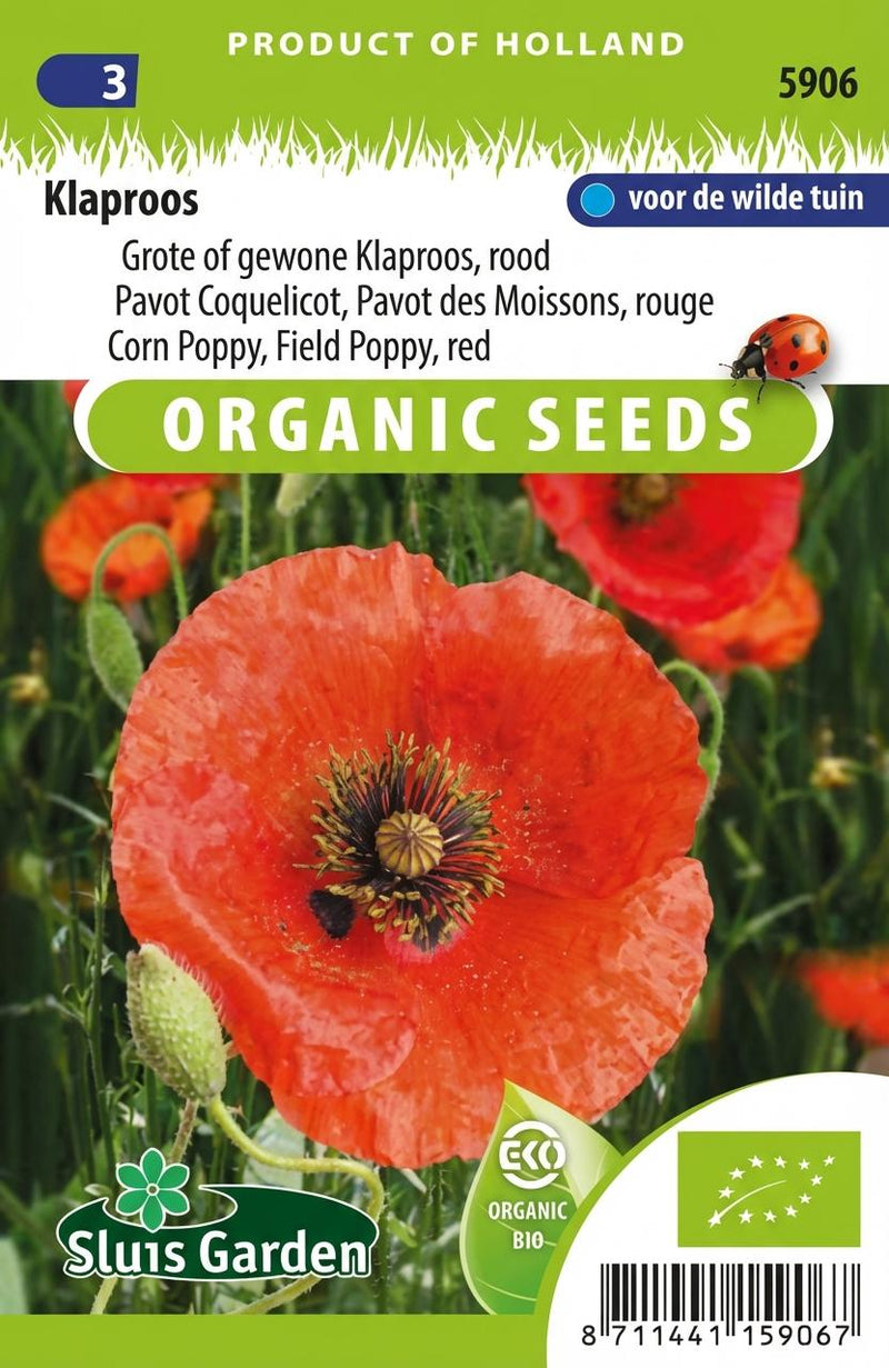 Klaproos, grote of gewone, rood (Papaver)
