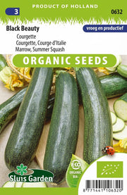 Courgette Black Beauty