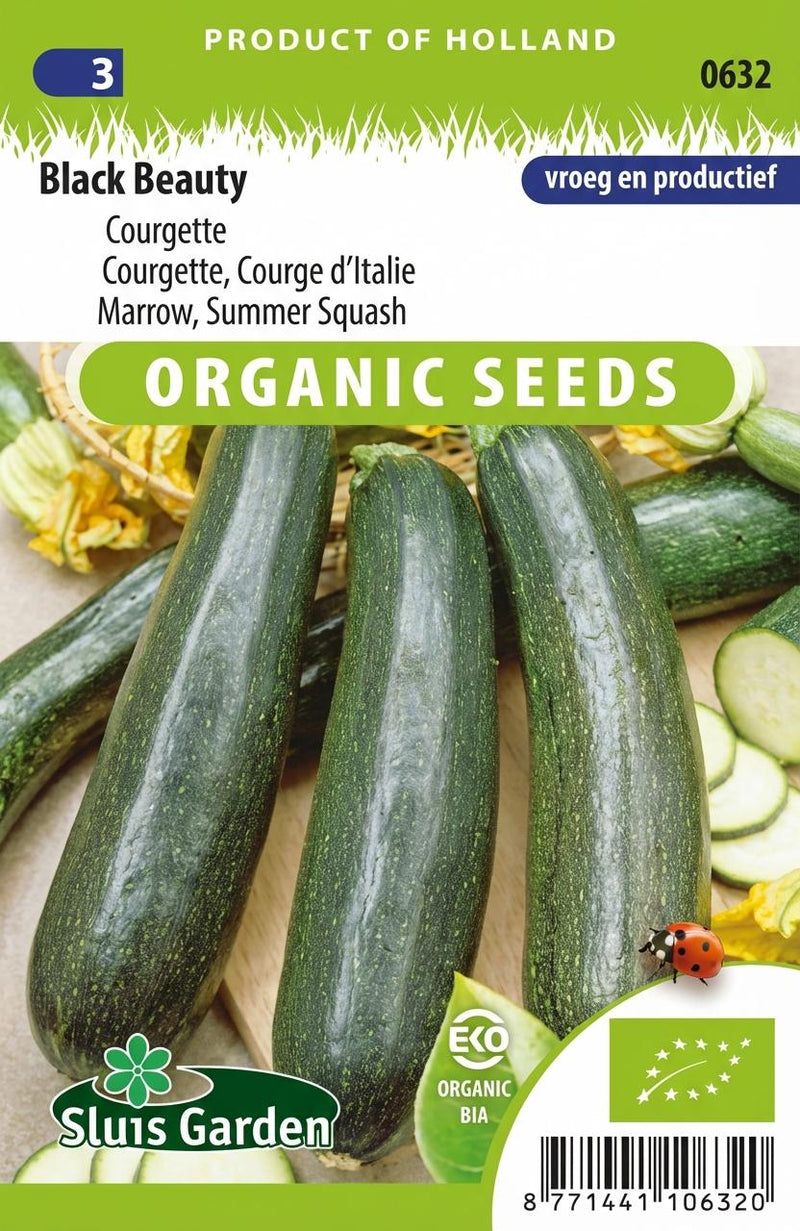 Courgette Black Beauty