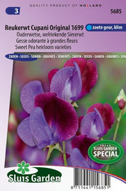 Reukerwt Cupani's original 1699 (Lathyrus)
