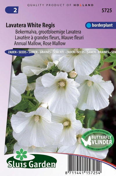 Lavatera White Regis (Bekermalva)