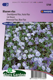 Vlas Blauw (Linum)