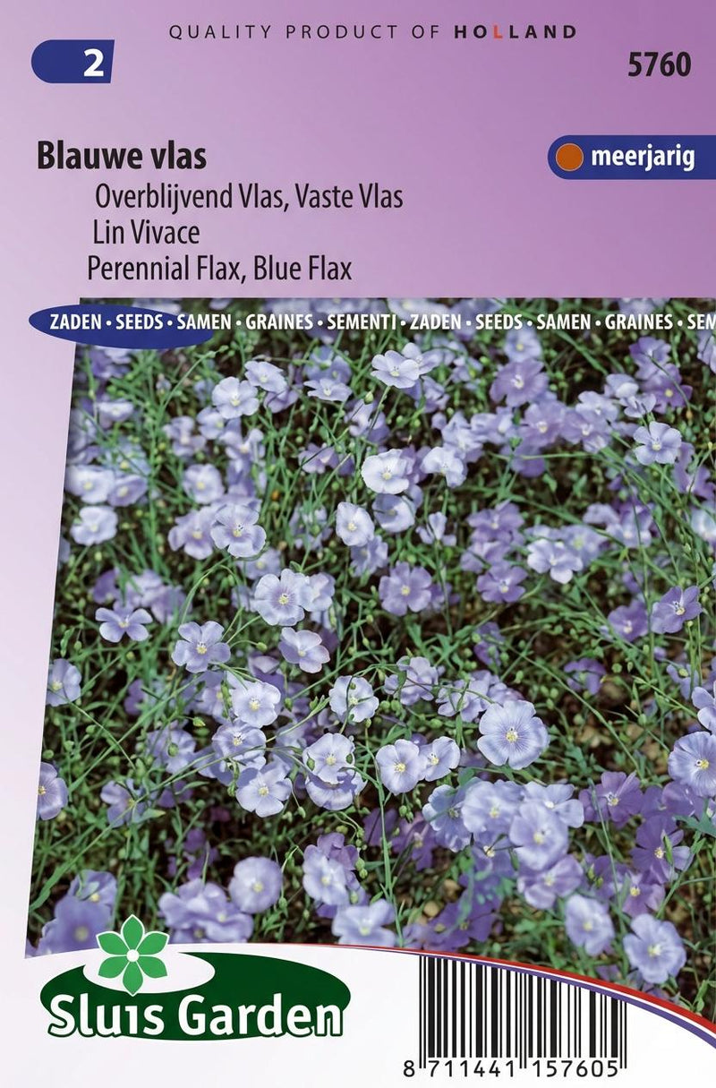Vlas Blauw (Linum)