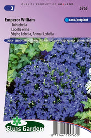 Lobelia Emperor William
