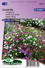 Lobelia Cascade Mixed