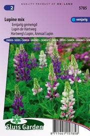 Lupine 1-jarig mix