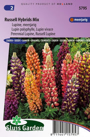 Lupinus Russell Hybrids Mix