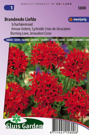 Scharlakenrood Brandende Liefde (Lychnis)