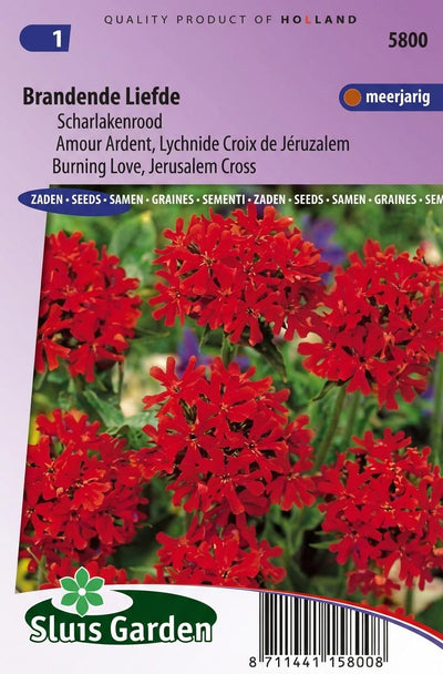 Scharlakenrood Brandende Liefde (Lychnis)