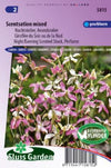 Violier (avond) Scentsation Mix (Matthiola)