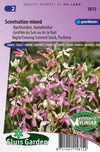 Violier (avond) Scentsation Mix (Matthiola)