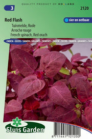 Melde Red Flash - Atriplex hortensis