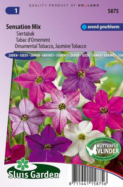 Siertabak Sensation mix (Nicotiana)