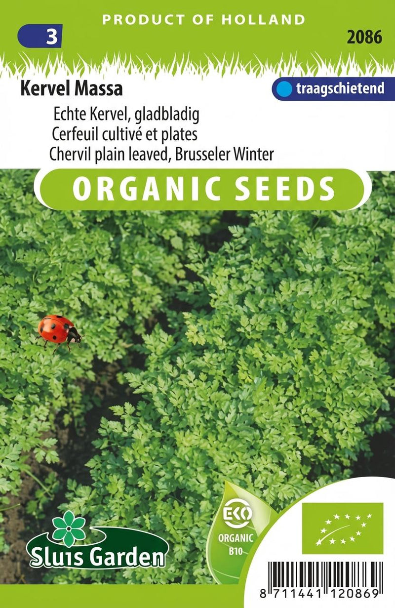 Echte Kervel, gladbladig, Kervel Massa