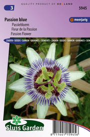 Passiebloem Passion Blue