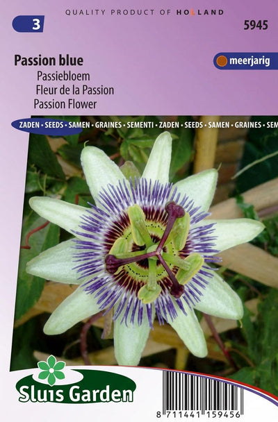 Passiebloem Passion Blue