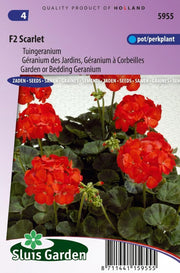 Tuingeranium F2 Rood