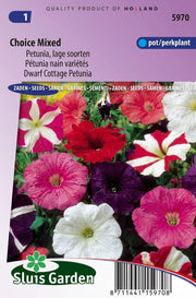 Petunia lage soorten gemengd