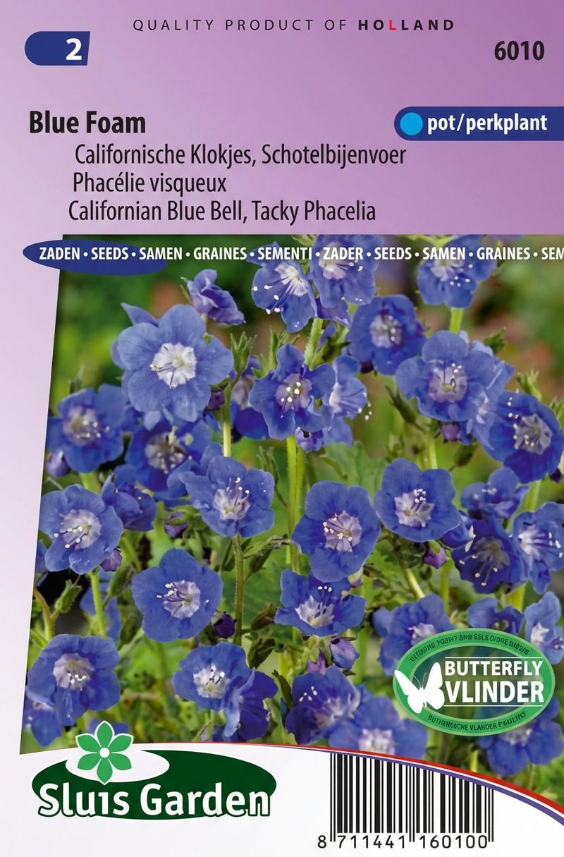 Droombijenvoer Blue Foam (Phacelia)