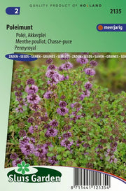 Poleimunt Mentha pulegium