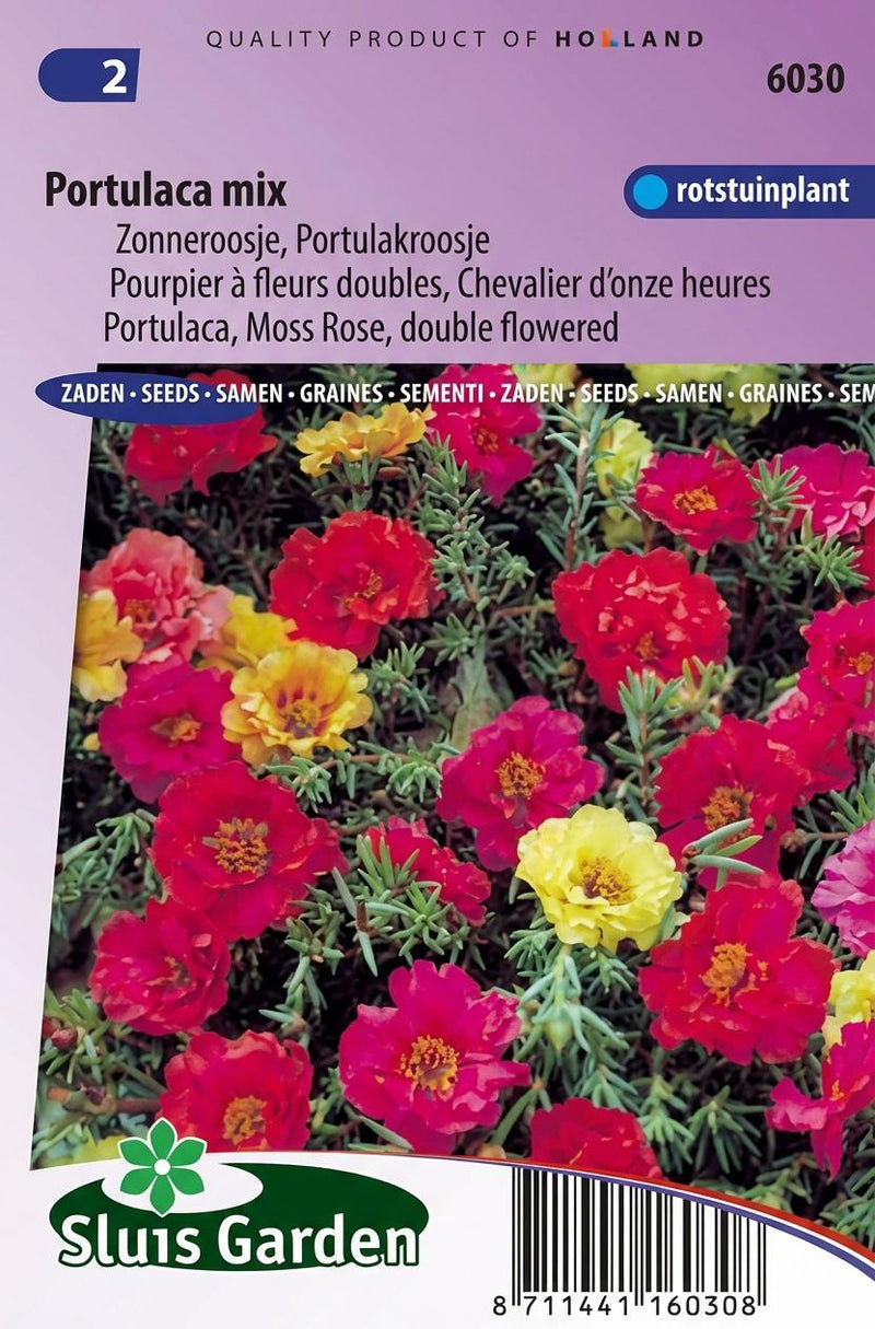 Zonneroosje (Portulaca dubbelbloemig gemengd)