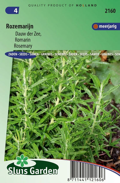 Rozemarijn (Rosmarinus officinalis)