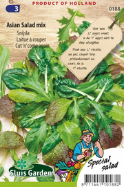 Snijsla Asian Salad mix