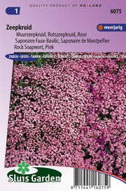 Zeepkruid Rose-Pink (Saponaria)