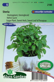 Stevia of Honingplant