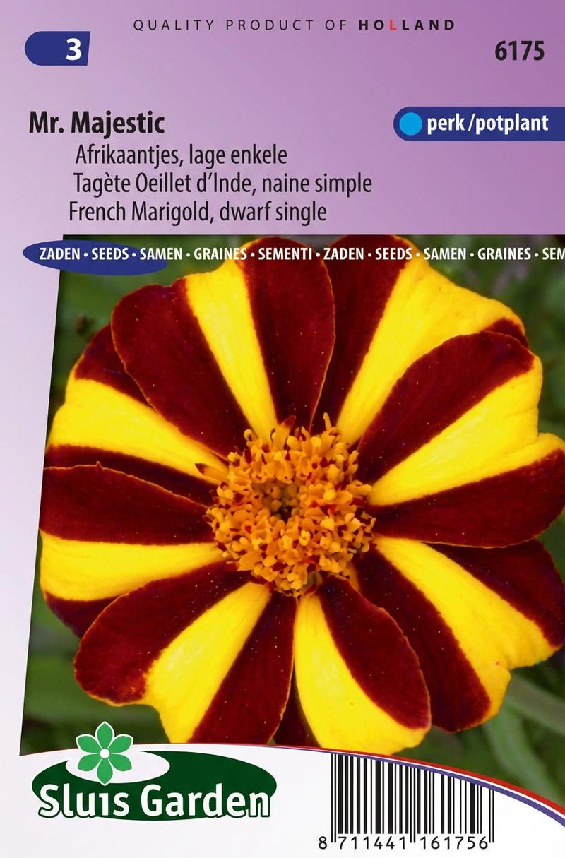 Zakje zaden voor Afrikaantjes van Sluis Garden.