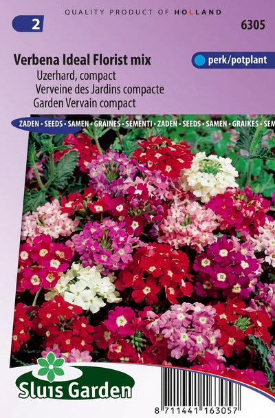 Verbena Ideal Florist mix