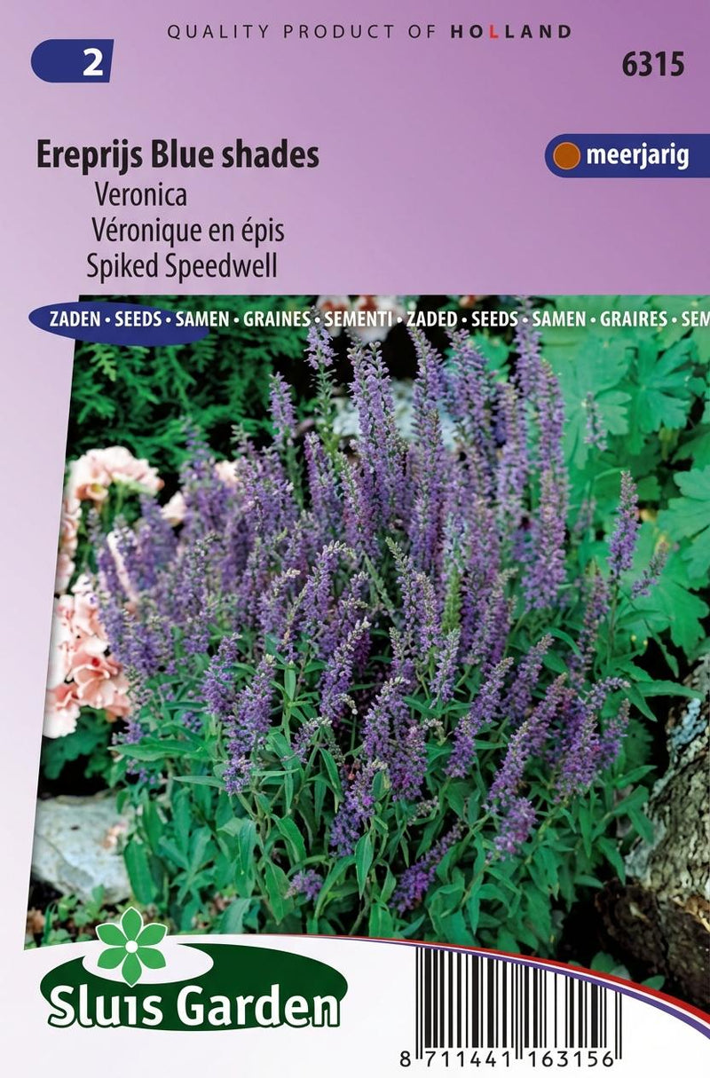 Zakje zaden Veronica-ereprijs van Sluis Garden.