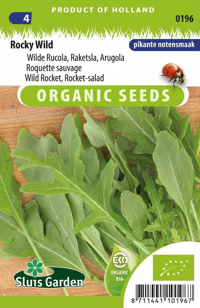 Rucola Wild, Rocky Wild