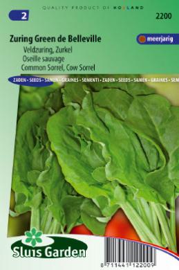 Zuring Green de Belleville (Rumex acetosa)