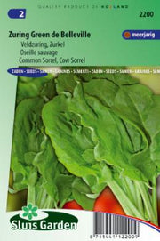 Zuring Green de Belleville (Rumex acetosa)