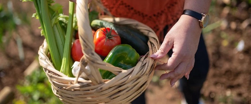 Groente en fruit zo lang mogelijk bewaren, hoe doe je dat?